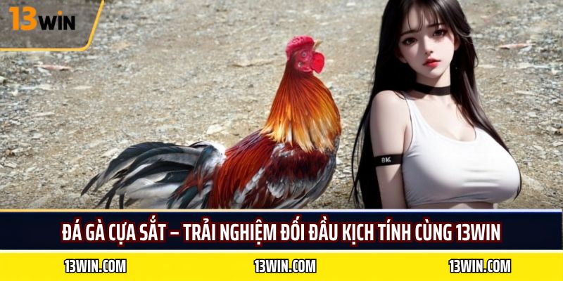 đá gà cựa sắt